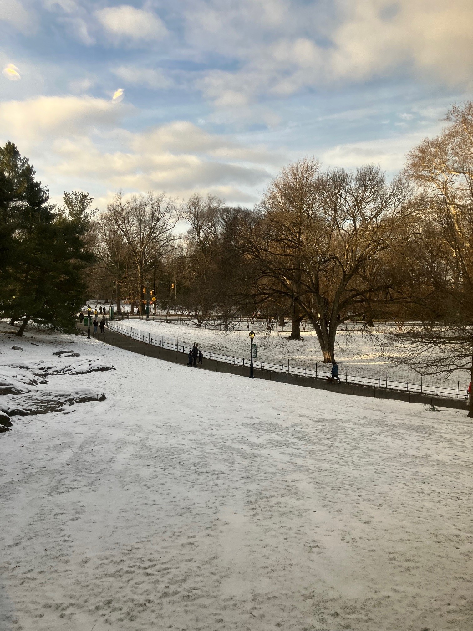 This image shows a snow-covered Central Park