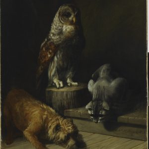 A dog, cat, and owl on a wood floor. The dog and cat are looking at a hole in the floor.