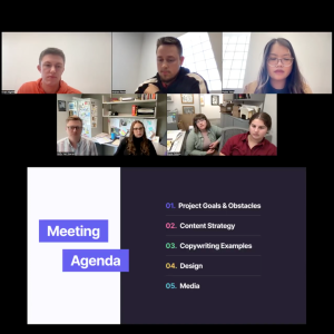 Screenshots of virtual meetings done by the Woodson team and their website design team.