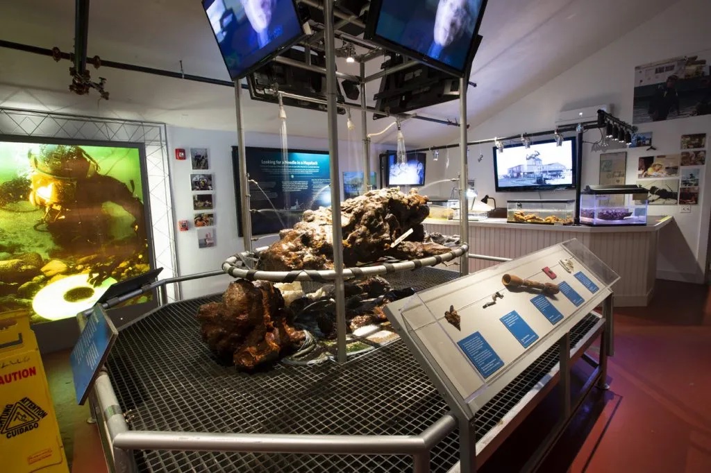 Concretion on display at the museum