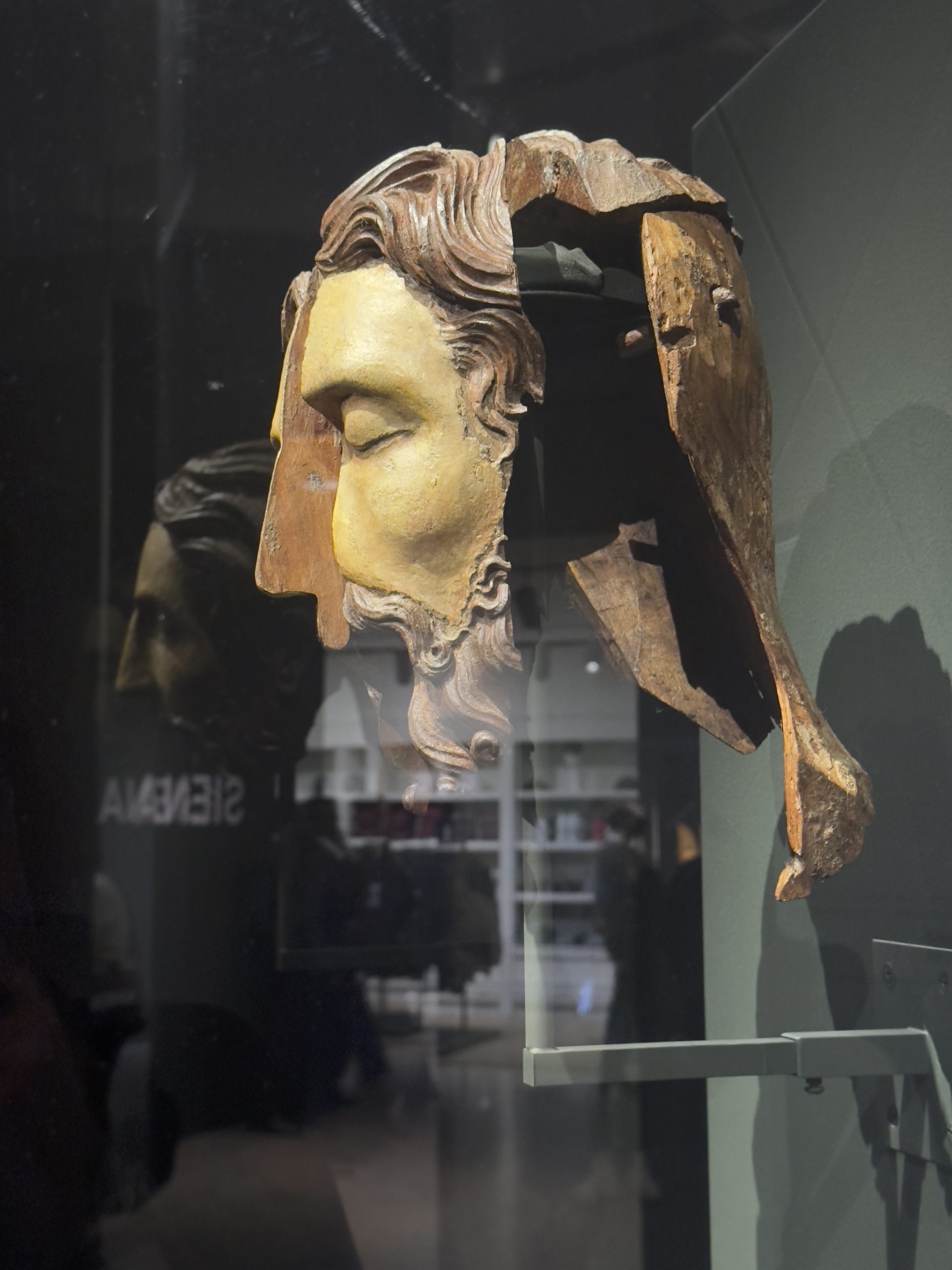 A wooden sculpture of a head in several fragments mounted in a case.